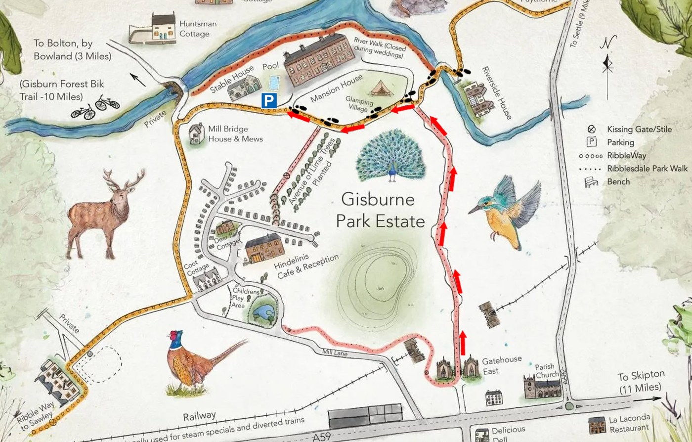Illustrated map of Gisburne Park Estate showing the entrance route and car park